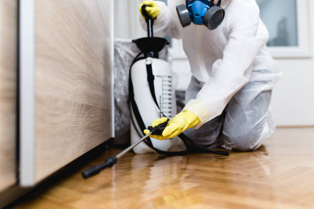 Best Wildlife Control Services  in Seneca, IL