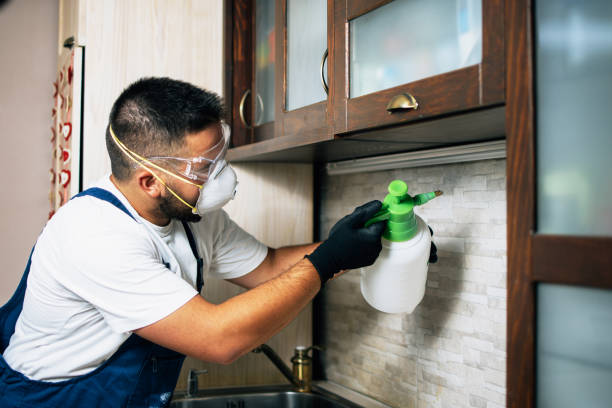 Best Insect Control  in Seneca, IL