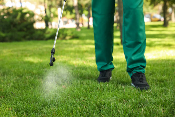 Best Wasp Removal Services  in Seneca, IL