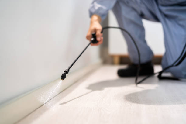 Best Pest Prevention Services  in Seneca, IL