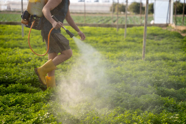 Best Residential Pest Control  in Seneca, IL