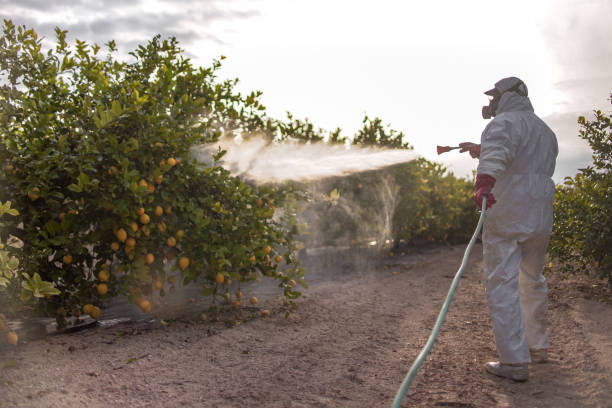 Best Emergency Pest Control  in Seneca, IL