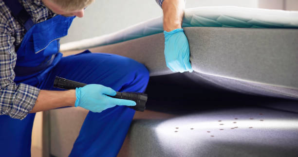 Best Ant Control Services  in Seneca, IL