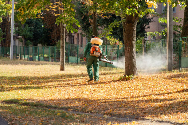 Best Rat Extermination Near Me  in Seneca, IL